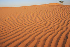 rajasthan jaisalmer,jaisalmer sightseeing, sanddune tents and camps